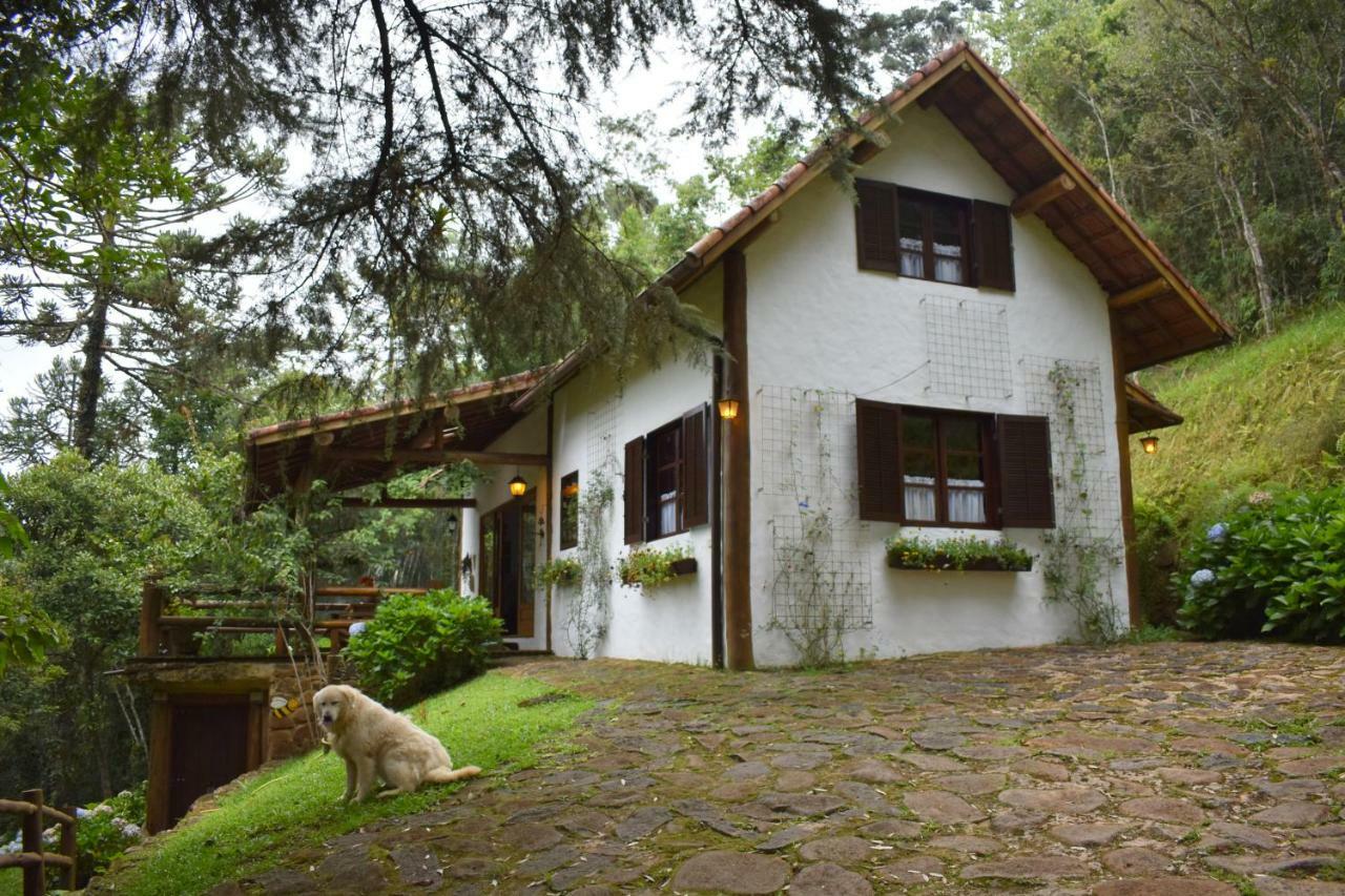 Chalet da Hortênsias Villa Cunha Bagian luar foto